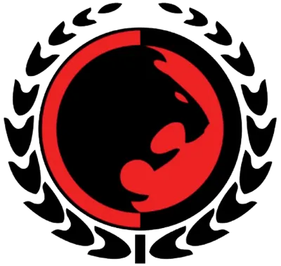 Chicago MMA logo